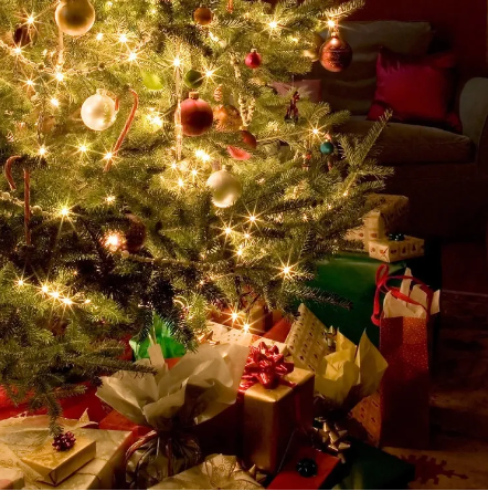 Christmas Tree - Fragrance oils