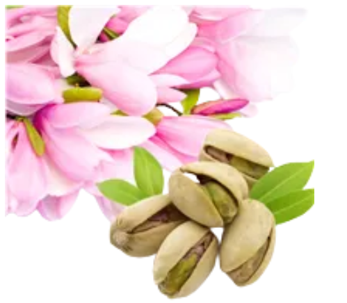 Rose Cardamom Fragrance Oil - Candle Making, Soap, as well as Personal Care Applications such as Lotion, Shampoo, and Liquid Soap.