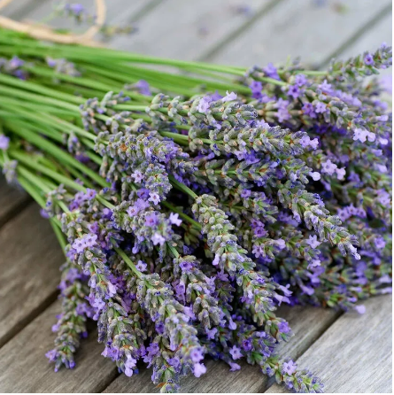 Lavender - Fragrance Oils