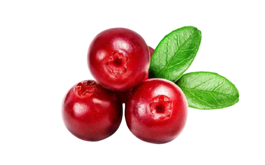 Cranberry Fragrance Oil - Candle Making, Soap, as well as Personal Care Applications such as Lotion, Shampoo, and Liquid Soap.