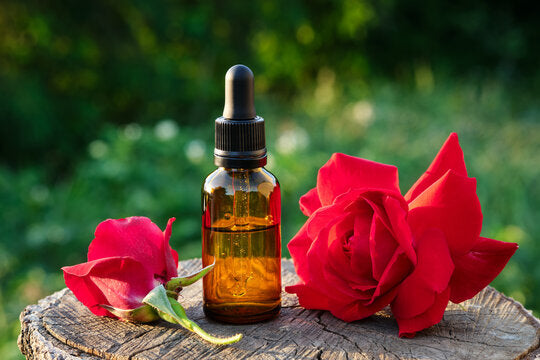 Rose Essential Oil 100% Natural, Organic, Vegan & Cruelty Free Lime Rose Oil | Pure Rose Essential Oil