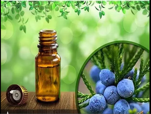 Juniper berry Essential Oil 100% Natural, Organic, Vegan & Cruelty Free Juniper berry Essential Oil | Pure Juniper berry Essential Oil