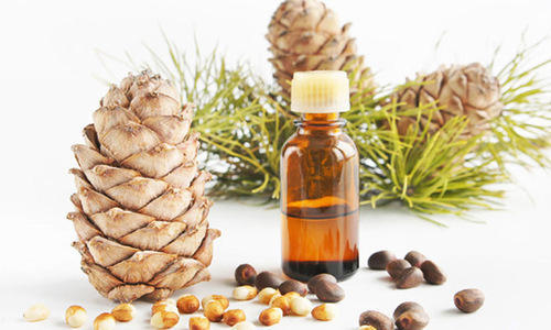 Cedarwood Essential Oil 100% Natural, Organic, Vegan & Cruelty Free Cedarwood Essential Oil | Pure Cedarwood Essential Oil