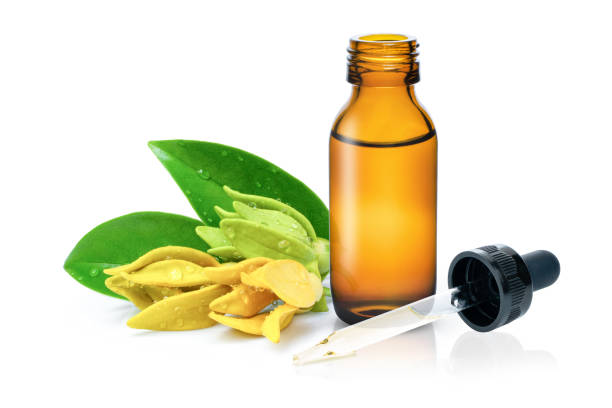 Ylang Ylang Essential Oil 100% Natural, Organic, Vegan & Cruelty Free Ylang Ylang Essential Oil | Pure Ylang Ylang Essential Oil