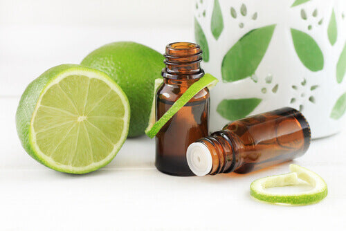 Lime Essential Oil 100% Natural, Organic, Vegan & Cruelty Free Lime Essential Oil | Pure Lime Essential Oil